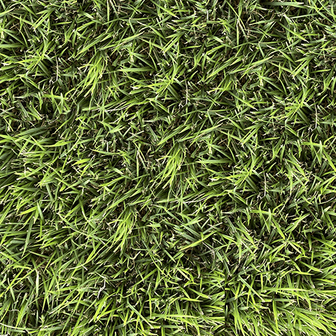 Grama - Innovation Inicio