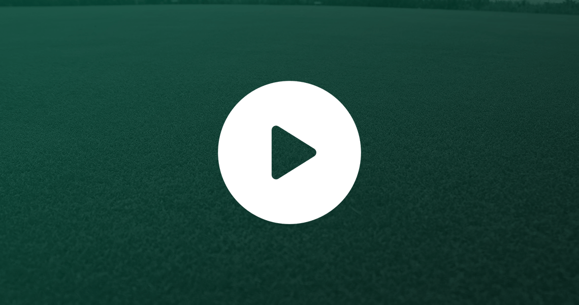 Nossa produção Qually Grama Fundo Vídeo