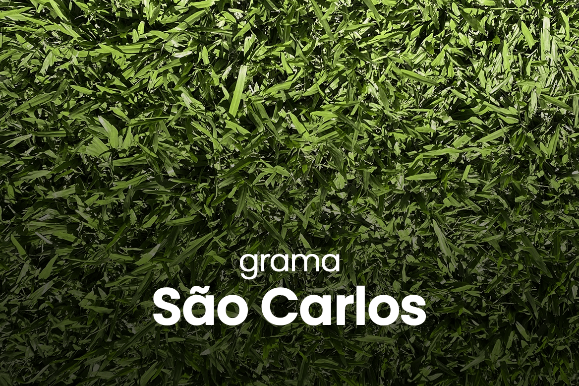 Link grama São Carlos