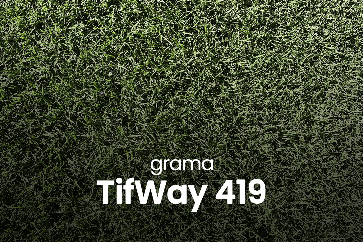 Recomendações - TifWay