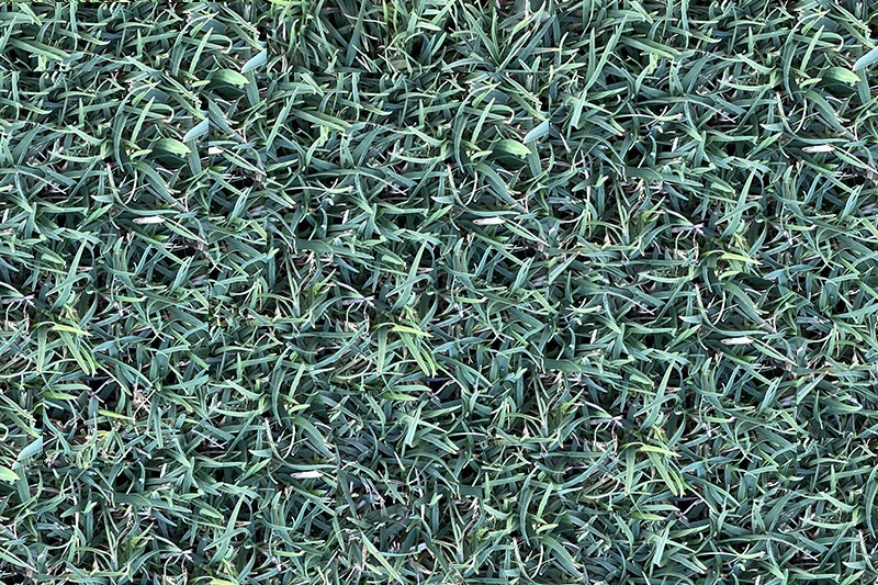 mini bannerCelebration