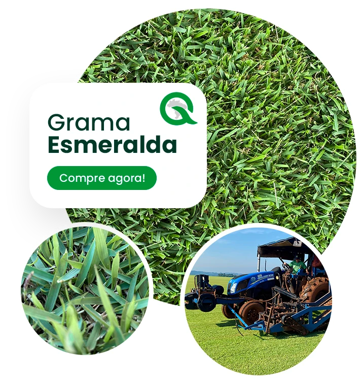 Banner Grama Esmeralda2