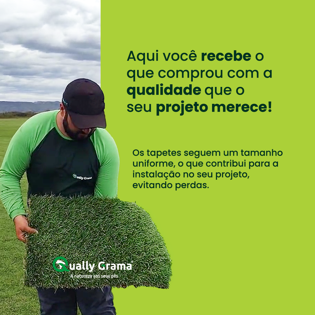 tapete de grama esmeralda natural