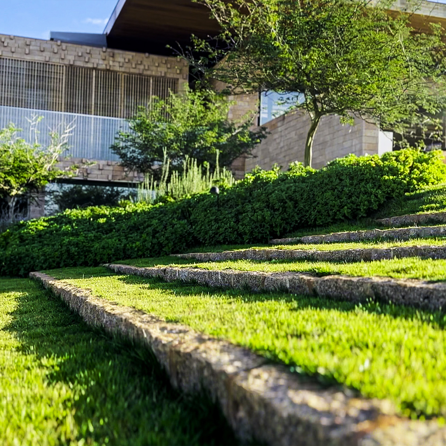 lindo jardim com grama Esmeralda da Qually Grama