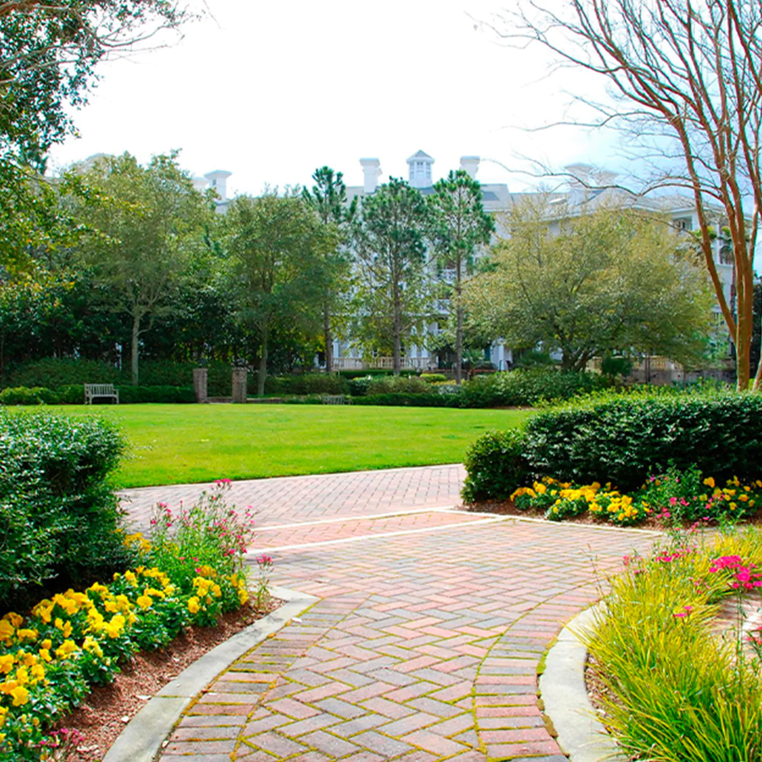 Local Grama Coreana 04