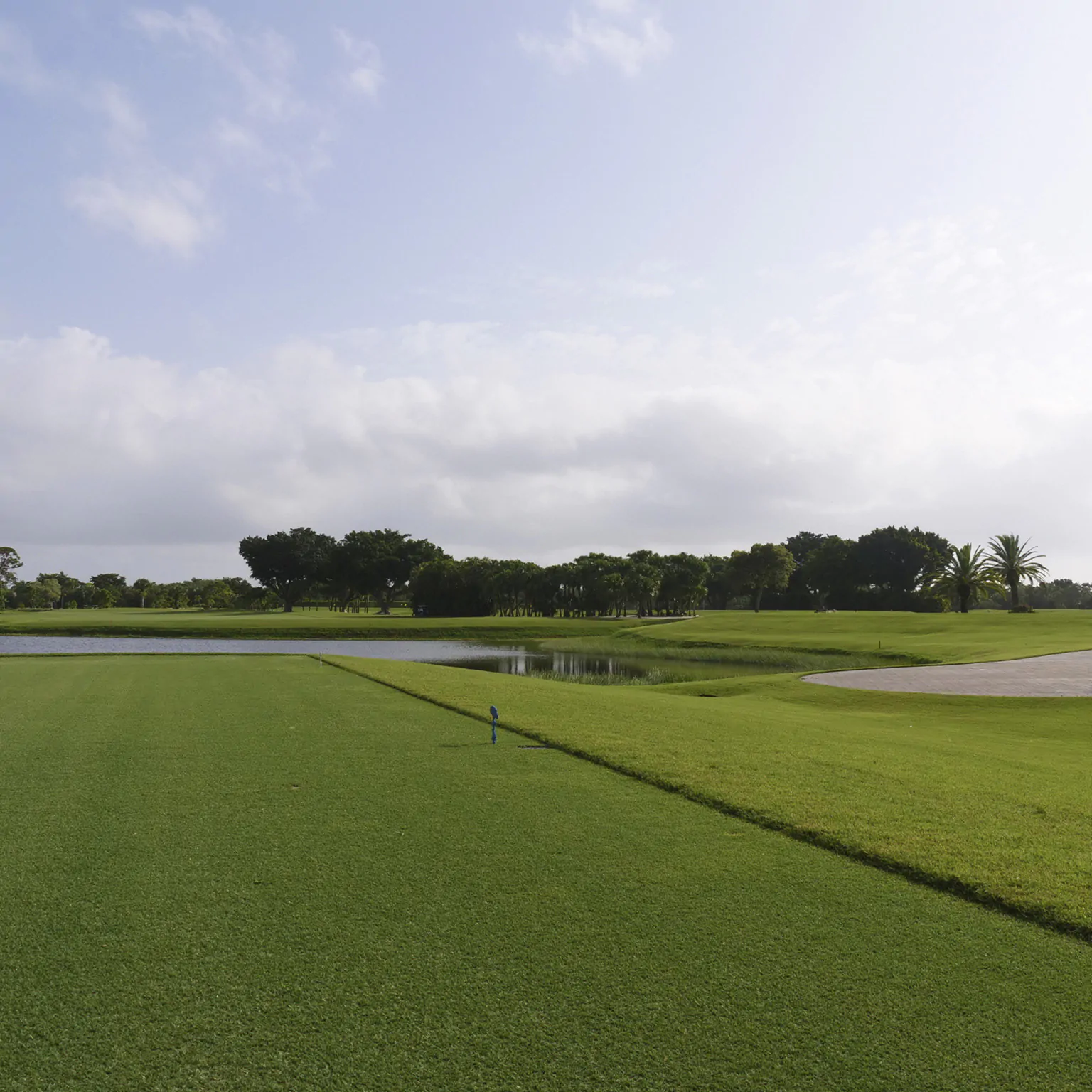 Local Grama Celebration 04