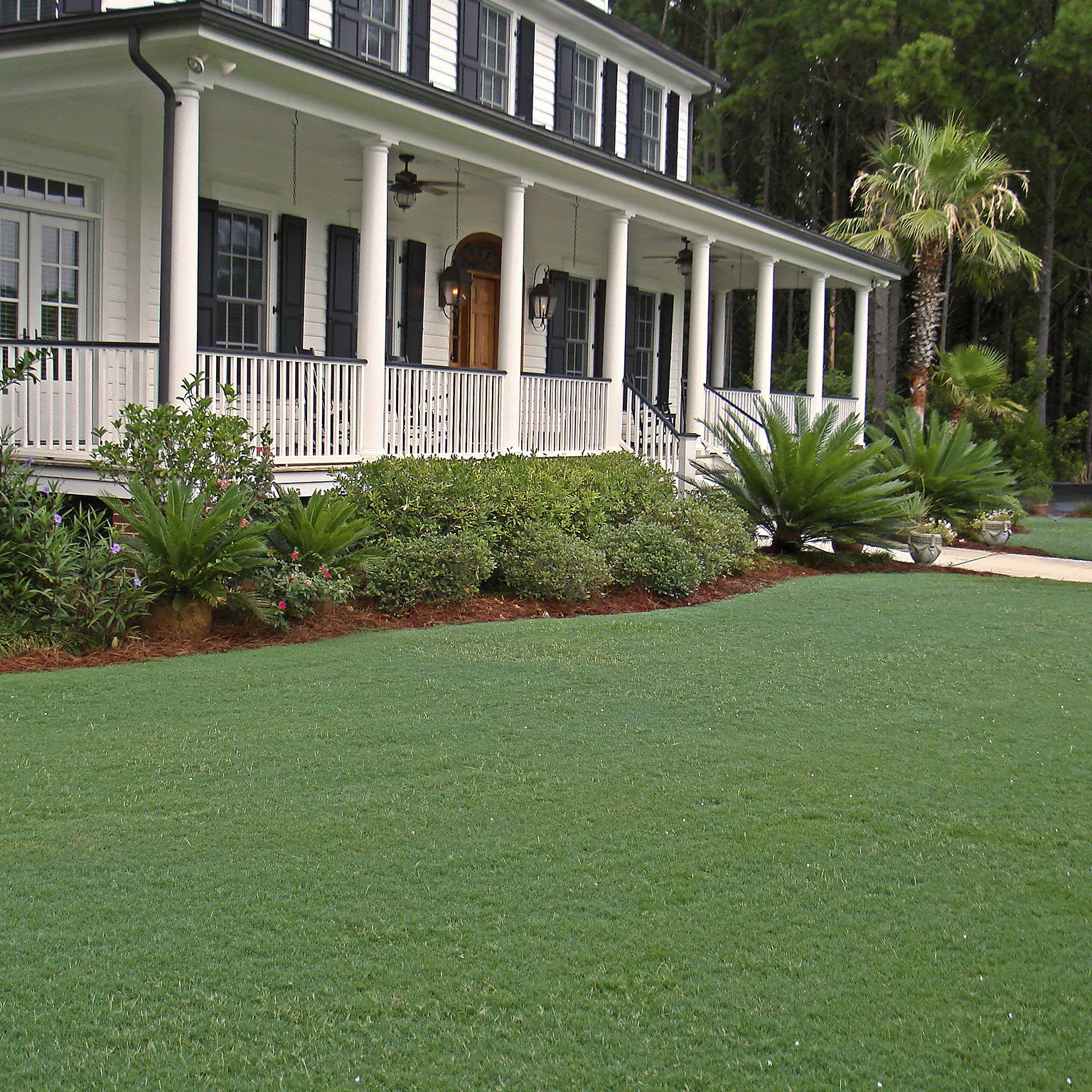 Local Grama Celebration 05