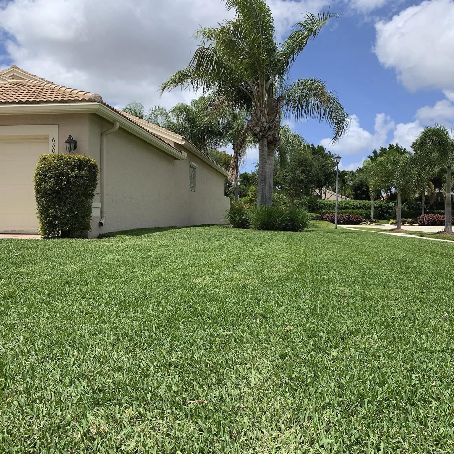 Local Grama Citra Blue 06