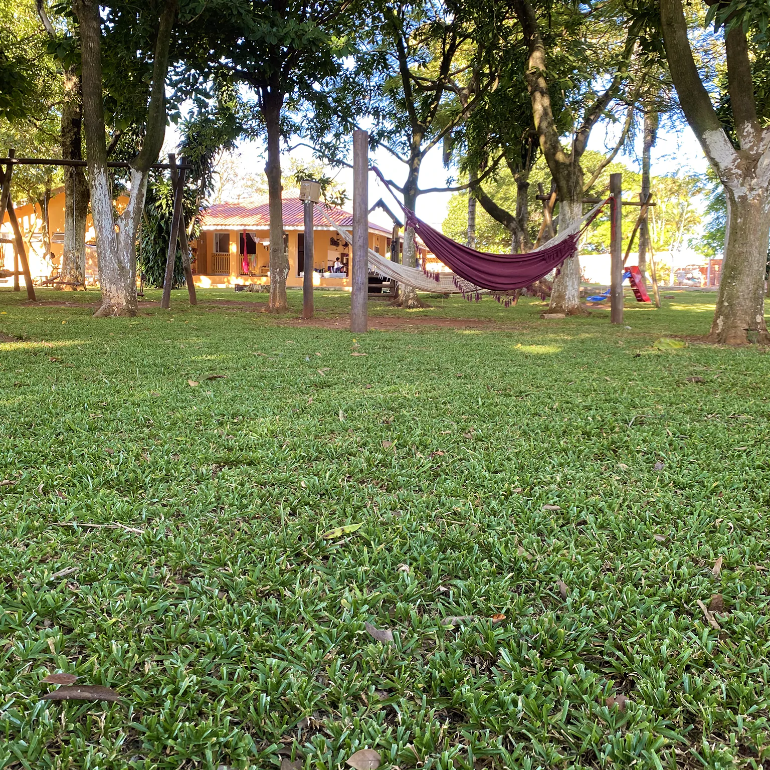 Local Grama Sao Carlos 02
