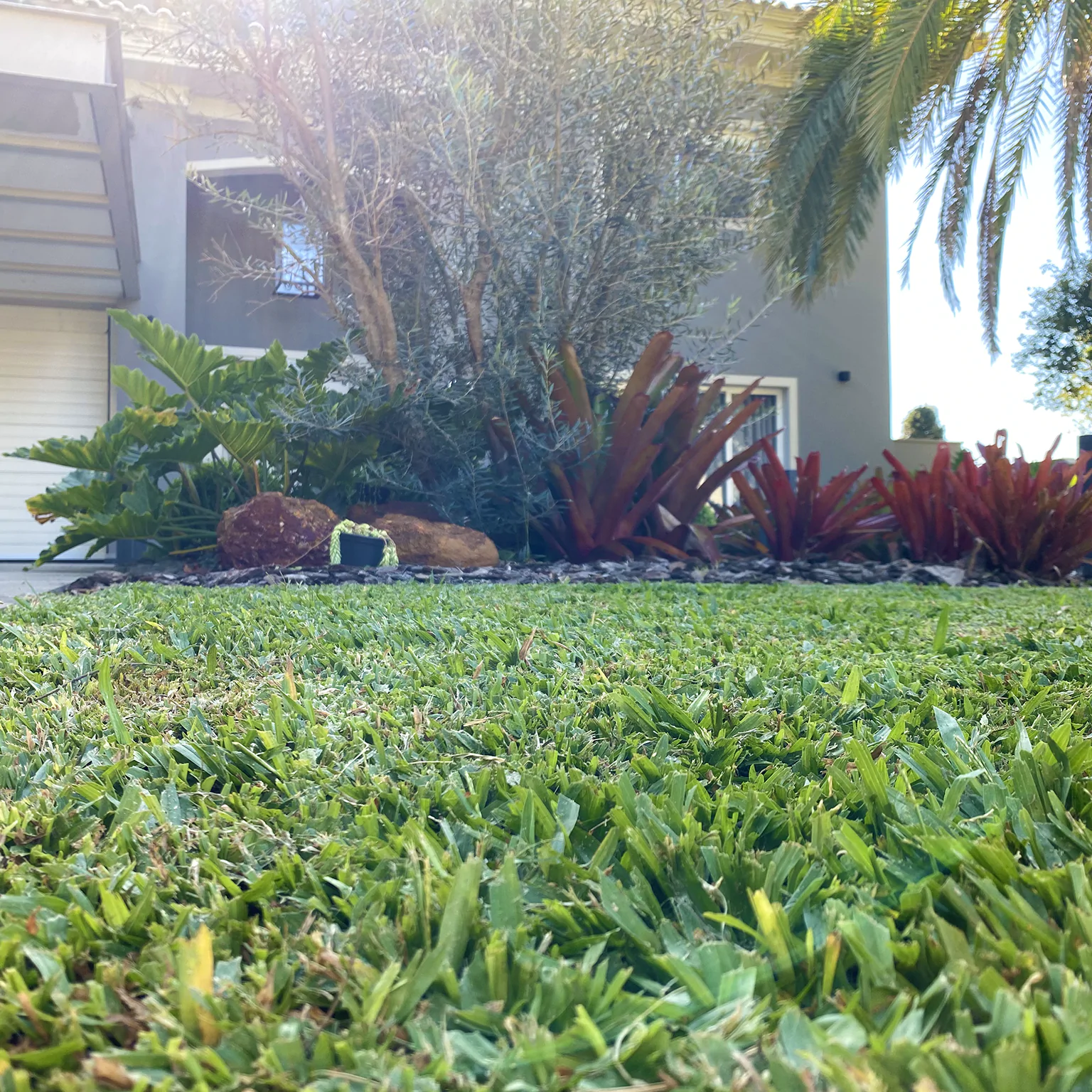 Local Grama Sao Carlos 03