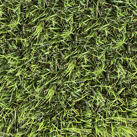 Grama - Innovation Inicio