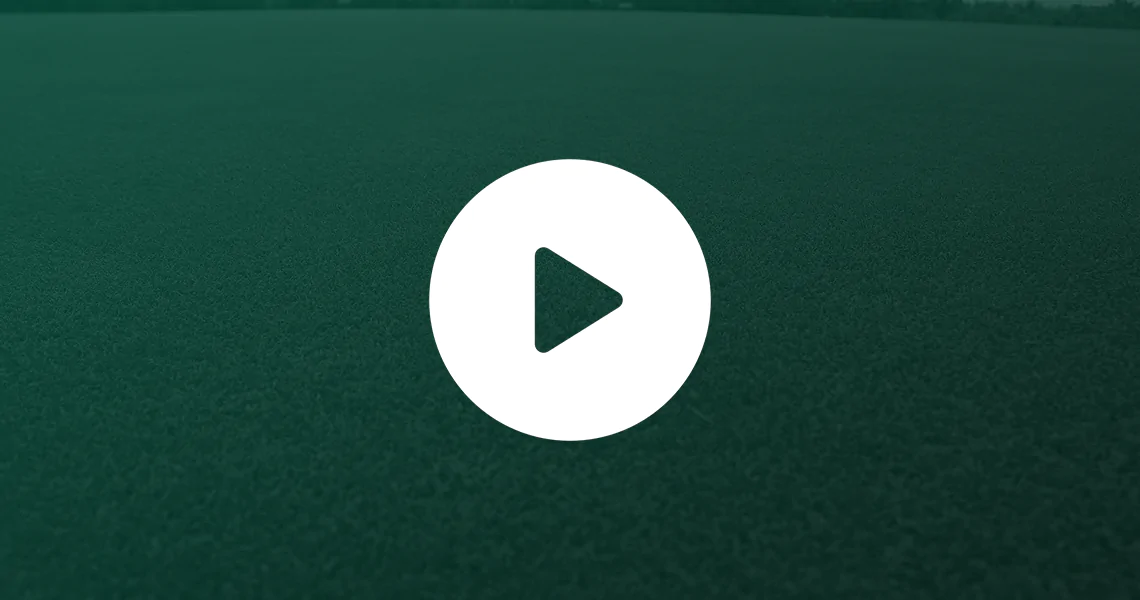 Nossa produção Qually Grama Fundo Vídeo