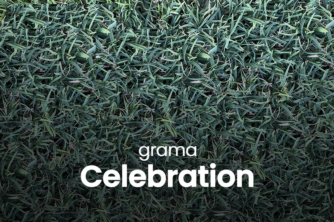 Recomendações - Celebration
