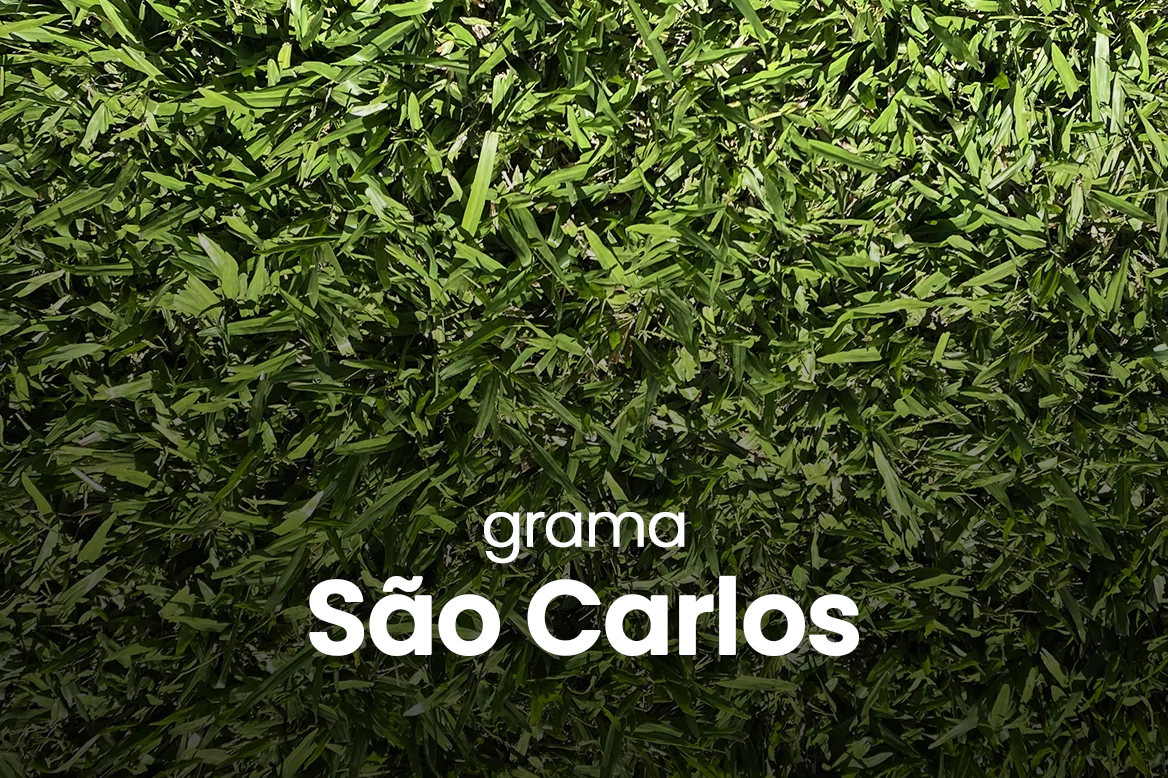Link grama São Carlos